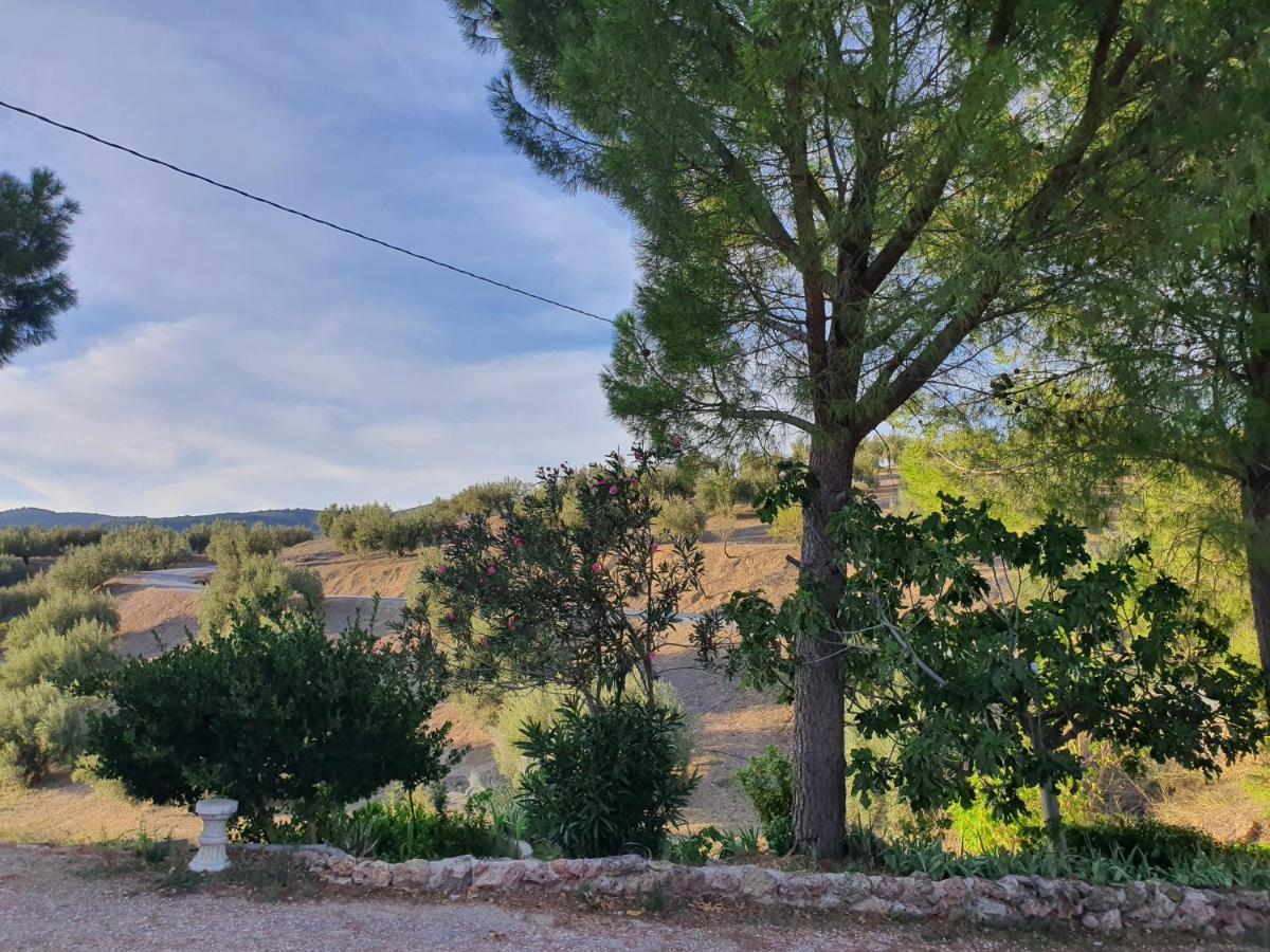 Holiday home Cortijo Rural El Salado